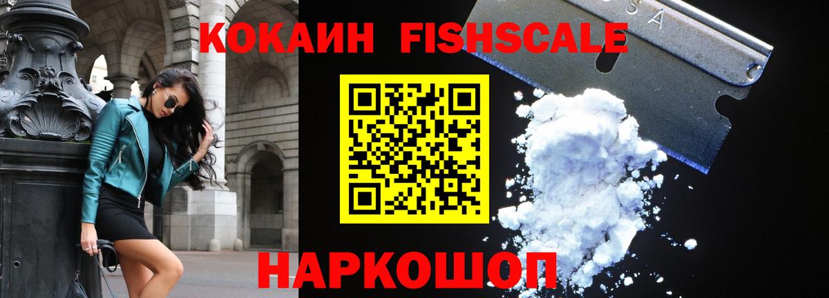 Cocaine Fish Scale  COCAIN Columbia  Вход с VPN  Cocaine  Узловая 